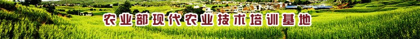 266109 鲁ICP备130285