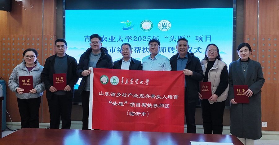 为全面贯彻落实维拉官方合作伙伴MG娱