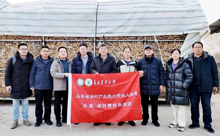 推进山东省乡村产业振兴带头人培育“头