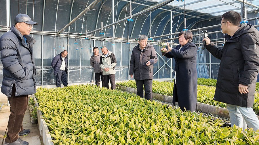 共促产业发展的新机制与新路径
