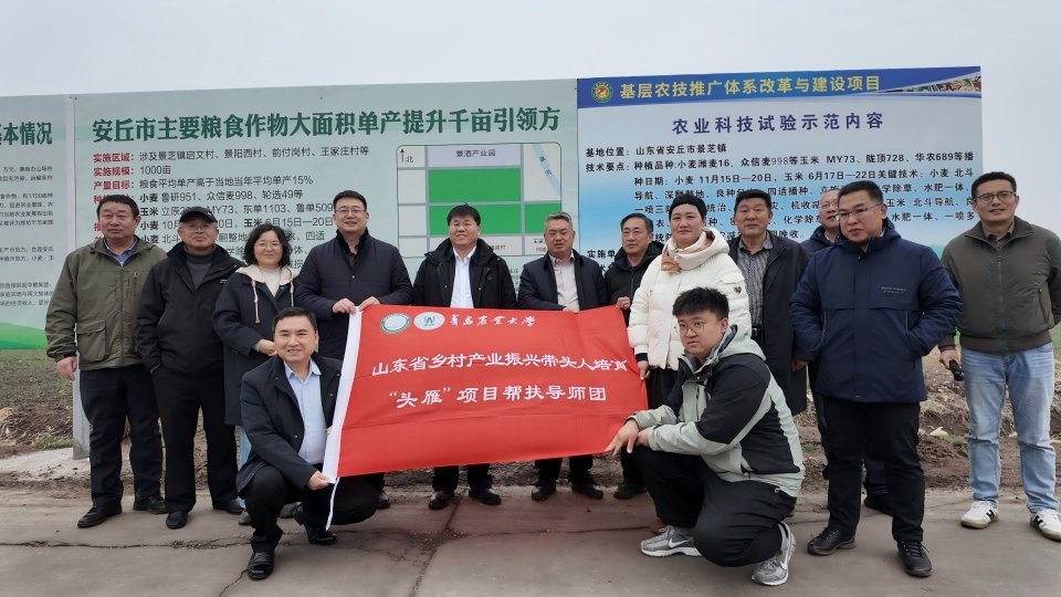 扎实做好山东省乡村产业振兴带头人“头