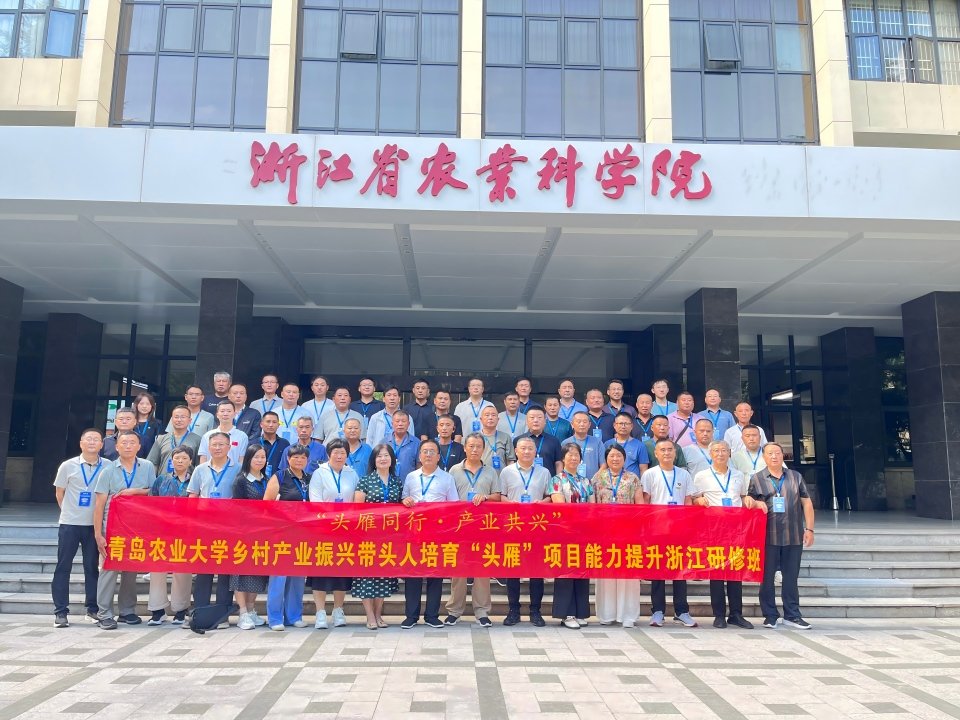 我将把浙江学到的经验结合本地乡村实际