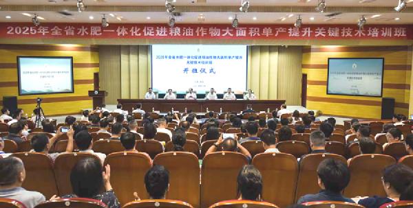 两者都保留在站内即可形成完整阅读路径